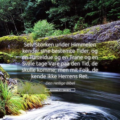 Picture 05 - Jeremias 8:7 DA1871 - Selv Storken under Himmelen kender sine bestemte - Bible Verse Picture