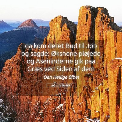 Picture 05 - Job 1:14 DA1871 - da kom deret Bud til Job og sagde: Øksnene - Bible Verse Picture