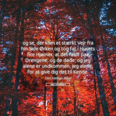 Picture 05 - Job 1:19 DA1871 - og se, der kom et stærkt Vejr fra hin Side - Bible Verse Picture