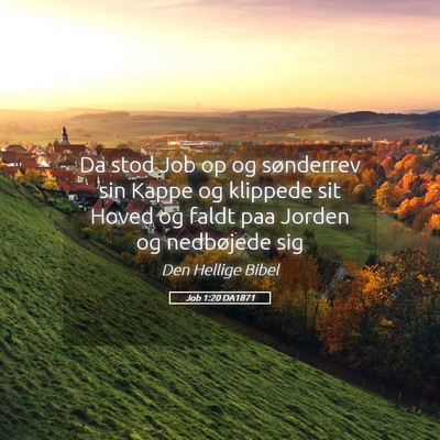 Picture 05 - Job 1:20 DA1871 - Da stod Job op og sønderrev sin Kappe og - Bible Verse Picture