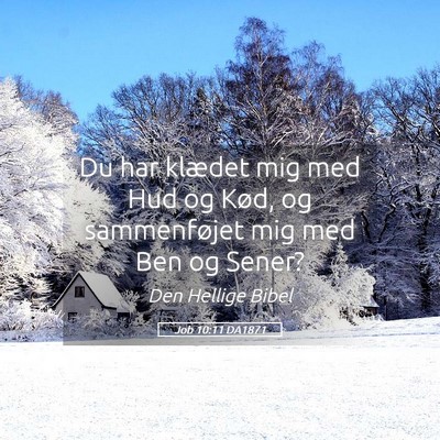 Picture 05 - Job 10:11 DA1871 - Du har klædet mig med Hud og Kød, og - Bible Verse Picture