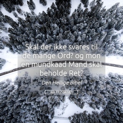 Picture 05 - Job 11:2 DA1871 - Skal der ikke svares til de mange Ord? og mon en - Bible Verse Picture