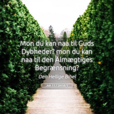 Picture 05 - Job 11:7 DA1871 - Mon du kan naa til Guds Dybheder? mon du kan naa - Bible Verse Picture