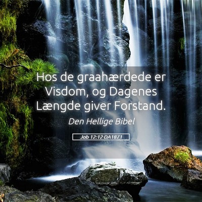 Picture 05 - Job 12:12 DA1871 - Hos de graahærdede er Visdom, og Dagenes Længde - Bible Verse Picture