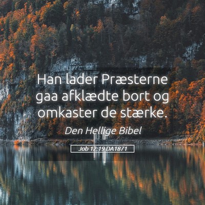 Picture 05 - Job 12:19 DA1871 - Han lader Præsterne gaa afklædte bort og - Bible Verse Picture