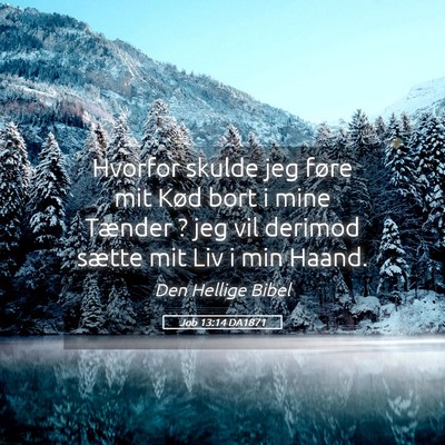 Picture 05 - Job 13:14 DA1871 - Hvorfor skulde jeg føre mit Kød bort i mine - Bible Verse Picture