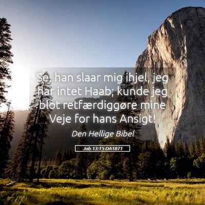 Picture 05 - Job 13:15 DA1871 - Se, han slaar mig ihjel, jeg har intet Haab; - Bible Verse Picture