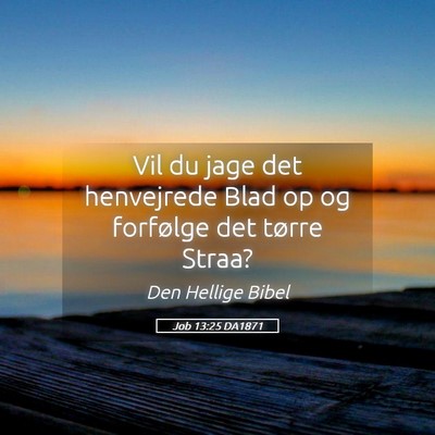 Picture 05 - Job 13:25 DA1871 - Vil du jage det henvejrede Blad op og forfølge - Bible Verse Picture
