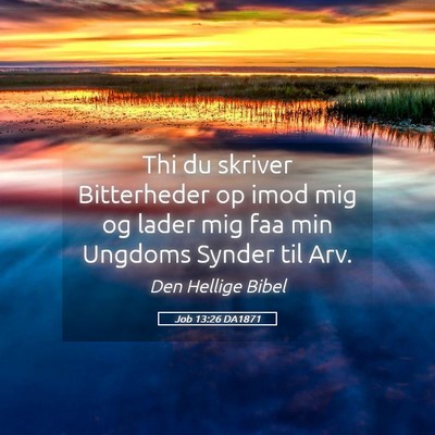 Picture 05 - Job 13:26 DA1871 - Thi du skriver Bitterheder op imod mig og lader - Bible Verse Picture
