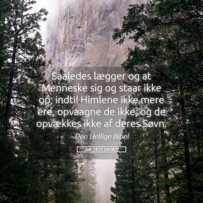 Picture 05 - Job 14:12 DA1871 - Saaledes lægger og at Menneske sig og staar ikke - Bible Verse Picture
