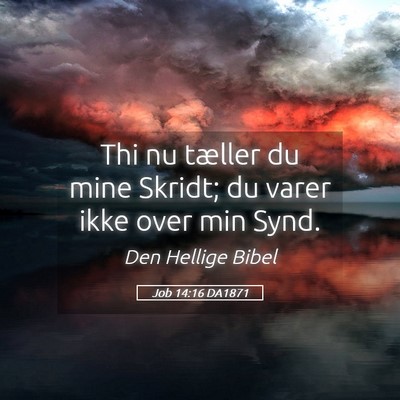 Picture 05 - Job 14:16 DA1871 - Thi nu tæller du mine Skridt; du varer ikke over - Bible Verse Picture