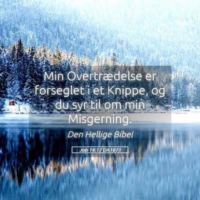 Picture 05 - Job 14:17 DA1871 - Min Overtrædelse er forseglet i et Knippe, og du - Bible Verse Picture