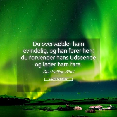 Picture 05 - Job 14:20 DA1871 - Du overvælder ham evindelig, og han farer hen; - Bible Verse Picture