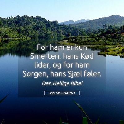 Picture 05 - Job 14:22 DA1871 - For ham er kun Smerten, hans Kød lider, og for - Bible Verse Picture