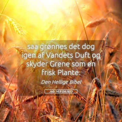 Picture 05 - Job 14:9 DA1871 - saa grønnes det dog igen af Vandets Duft og - Bible Verse Picture