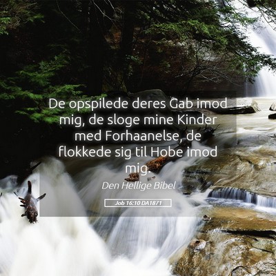 Picture 05 - Job 16:10 DA1871 - De opspilede deres Gab imod mig, de sloge mine - Bible Verse Picture