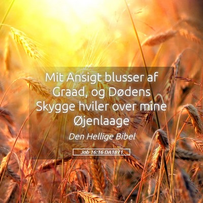 Picture 05 - Job 16:16 DA1871 - Mit Ansigt blusser af Graad, og Dødens Skygge - Bible Verse Picture