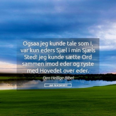 Picture 05 - Job 16:4 DA1871 - Ogsaa jeg kunde tale som I, var kun eders Sjæl i - Bible Verse Picture