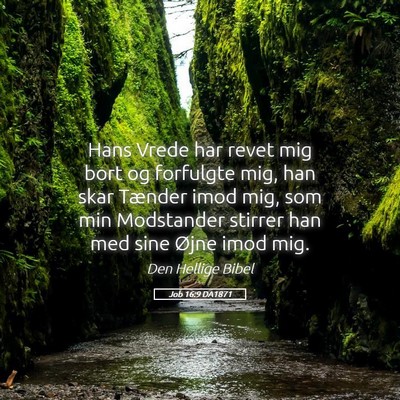 Picture 05 - Job 16:9 DA1871 - Hans Vrede har revet mig bort og forfulgte mig, - Bible Verse Picture
