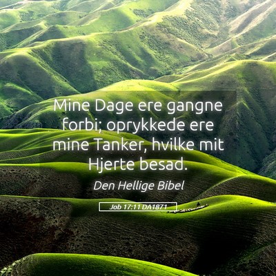 Picture 05 - Job 17:11 DA1871 - Mine Dage ere gangne forbi; oprykkede ere mine - Bible Verse Picture