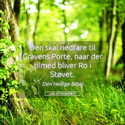 Picture 05 - Job 17:16 DA1871 - Den skal nedfare til Gravens Porte, naar der - Bible Verse Picture