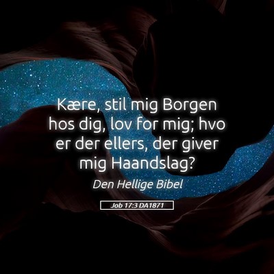 Picture 05 - Job 17:3 DA1871 - Kære, stil mig Borgen hos dig, lov for mig; hvo - Bible Verse Picture