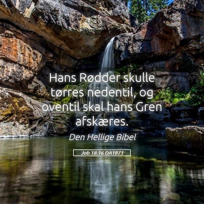 Picture 05 - Job 18:16 DA1871 - Hans Rødder skulle tørres nedentil, og oventil - Bible Verse Picture