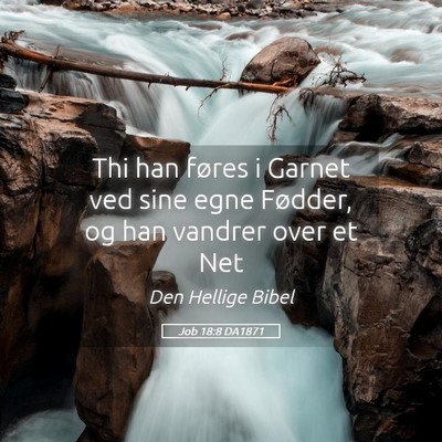 Picture 05 - Job 18:8 DA1871 - Thi han føres i Garnet ved sine egne Fødder, og - Bible Verse Picture