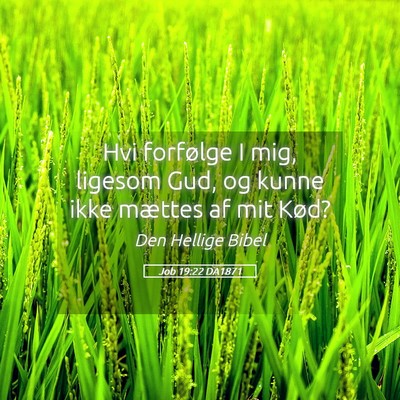 Picture 05 - Job 19:22 DA1871 - Hvi forfølge I mig, ligesom Gud, og kunne ikke - Bible Verse Picture