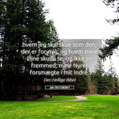 Picture 05 - Job 19:27 DA1871 - hvem jeg skal skue som den, der er for mig, og - Bible Verse Picture