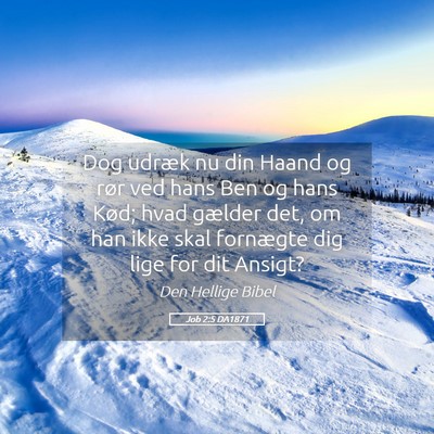 Picture 05 - Job 2:5 DA1871 - Dog udræk nu din Haand og rør ved hans Ben og - Bible Verse Picture