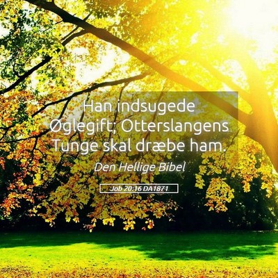 Picture 05 - Job 20:16 DA1871 - Han indsugede Øglegift; Otterslangens Tunge skal - Bible Verse Picture
