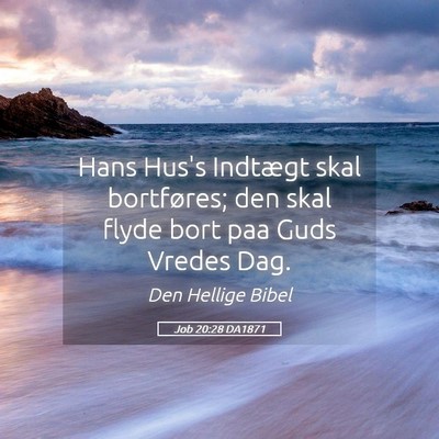 Picture 05 - Job 20:28 DA1871 - Hans Hus's Indtægt skal bortføres; den skal - Bible Verse Picture