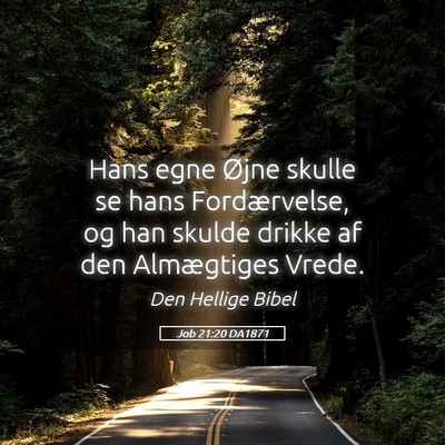 Picture 05 - Job 21:20 DA1871 - Hans egne Øjne skulle se hans Fordærvelse, og - Bible Verse Picture