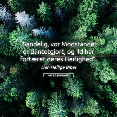 Picture 05 - Job 22:20 DA1871 - „Sandelig, vor Modstander er tilintetgjort, og - Bible Verse Picture