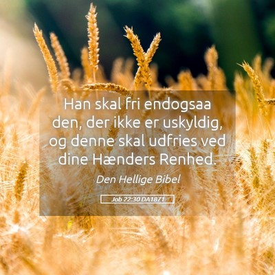 Picture 05 - Job 22:30 DA1871 - Han skal fri endogsaa den, der ikke er uskyldig, - Bible Verse Picture