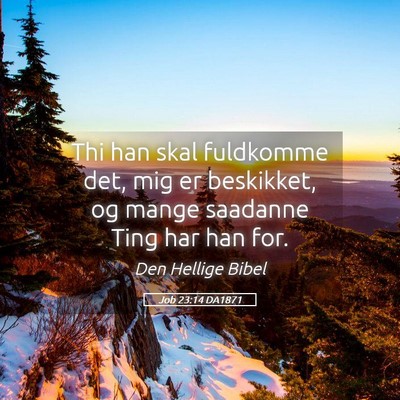 Picture 05 - Job 23:14 DA1871 - Thi han skal fuldkomme det, mig er beskikket, og - Bible Verse Picture
