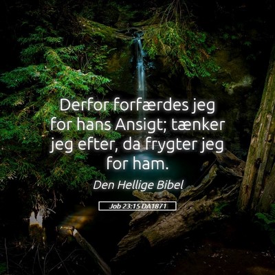 Picture 05 - Job 23:15 DA1871 - Derfor forfærdes jeg for hans Ansigt; tænker - Bible Verse Picture