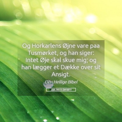 Picture 05 - Job 24:15 DA1871 - Og Horkarlens Øjne vare paa Tusmørket, og han - Bible Verse Picture