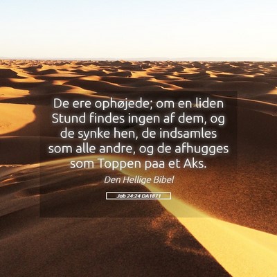 Picture 05 - Job 24:24 DA1871 - De ere ophøjede; om en liden Stund findes ingen - Bible Verse Picture