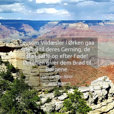 Picture 05 - Job 24:5 DA1871 - Se, som Vildæsler i Ørken gaa de ud til deres - Bible Verse Picture