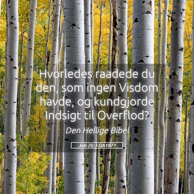 Picture 05 - Job 26:3 DA1871 - Hvorledes raadede du den, som ingen Visdom havde, - Bible Verse Picture
