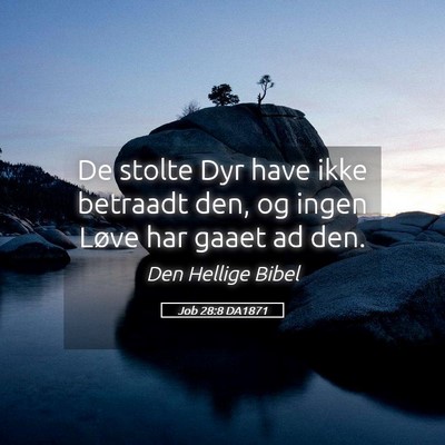Picture 05 - Job 28:8 DA1871 - De stolte Dyr have ikke betraadt den, og ingen - Bible Verse Picture