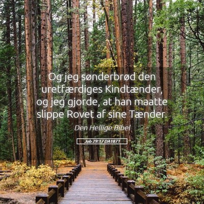 Picture 05 - Job 29:17 DA1871 - Og jeg sønderbrød den uretfærdiges - Bible Verse Picture