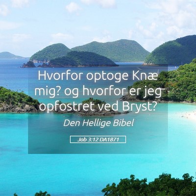 Picture 05 - Job 3:12 DA1871 - Hvorfor optoge Knæ mig? og hvorfor er jeg - Bible Verse Picture