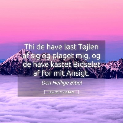 Picture 05 - Job 30:11 DA1871 - Thi de have løst Tøjlen af sig og plaget mig, - Bible Verse Picture