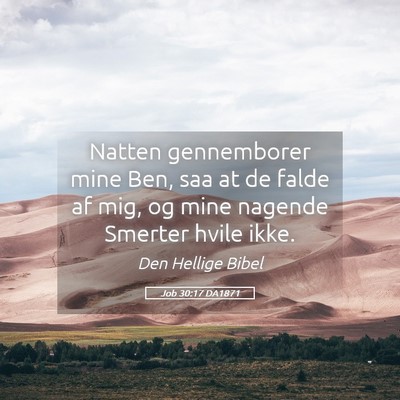 Picture 05 - Job 30:17 DA1871 - Natten gennemborer mine Ben, saa at de falde af - Bible Verse Picture