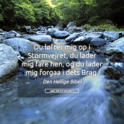 Picture 05 - Job 30:22 DA1871 - Du løfter mig op i Stormvejret, du lader mig - Bible Verse Picture