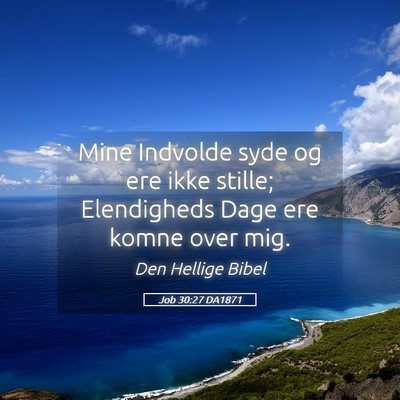 Picture 05 - Job 30:27 DA1871 - Mine Indvolde syde og ere ikke stille; - Bible Verse Picture