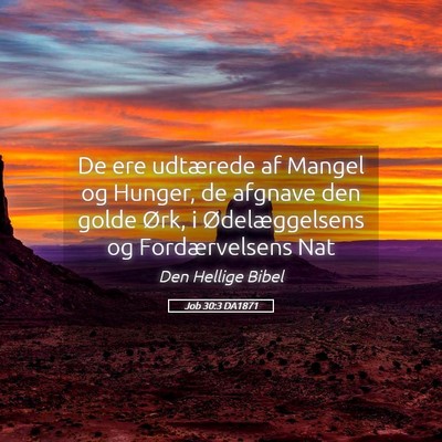 Picture 05 - Job 30:3 DA1871 - De ere udtærede af Mangel og Hunger, de afgnave - Bible Verse Picture